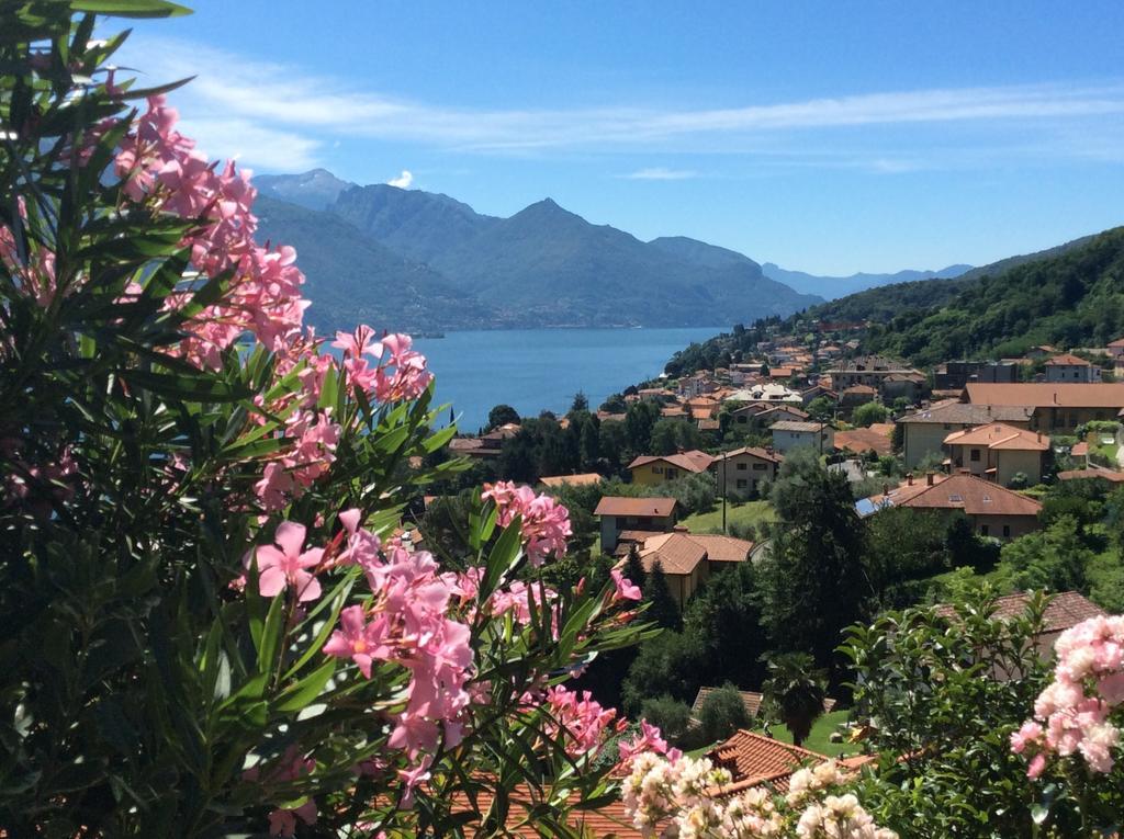 Appartement Residenza La Pianca à Musso Extérieur photo
